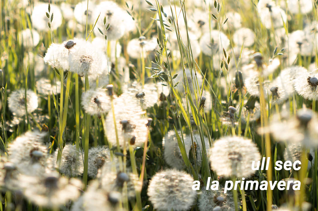 Al·lèrgia ocular - Picor als ulls - Ull sec - Primavera - VERTE Oftalmologia Barcelona